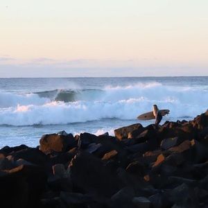 Meet your Posher, Jenny